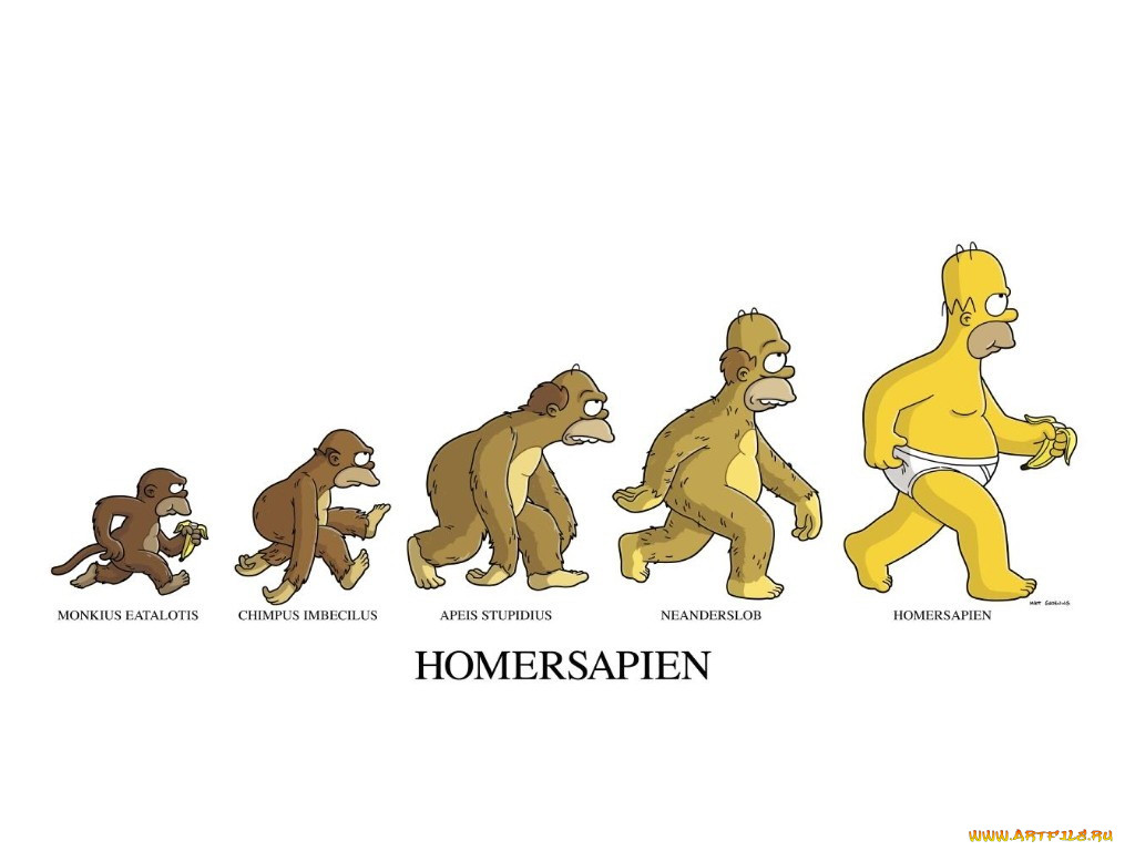 , the, simpsons